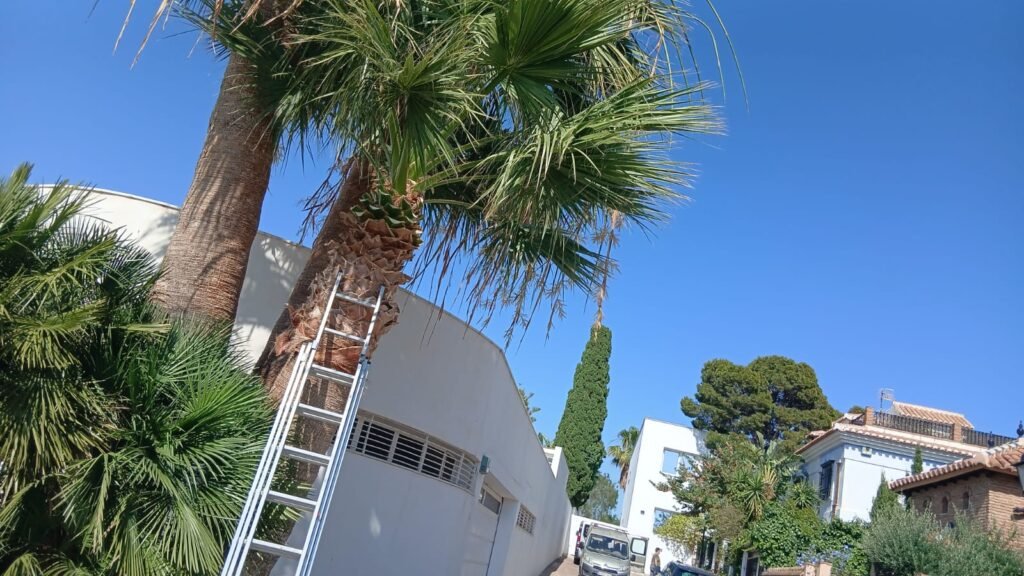 Jardinería y Piscinas en Granada y Costa Tropical Servicios Profesionales para Tu Hogar