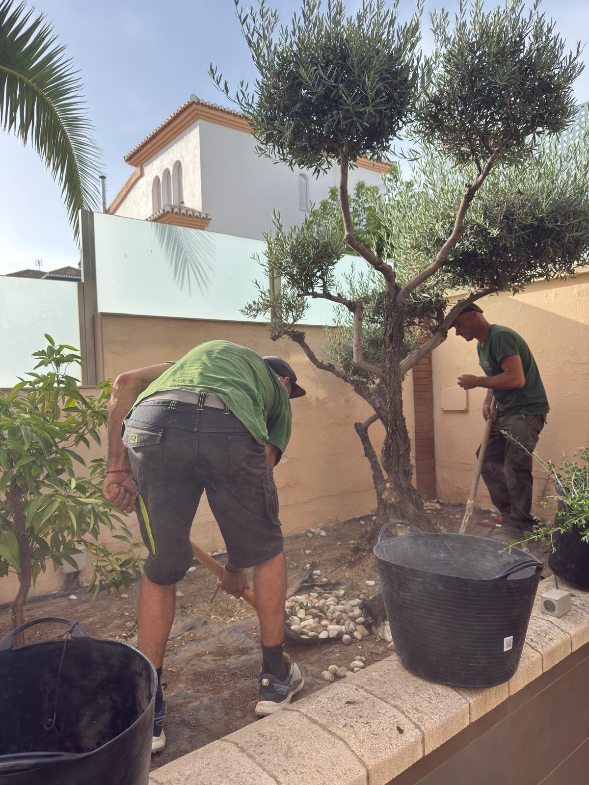 Home la costa jardineria en granada